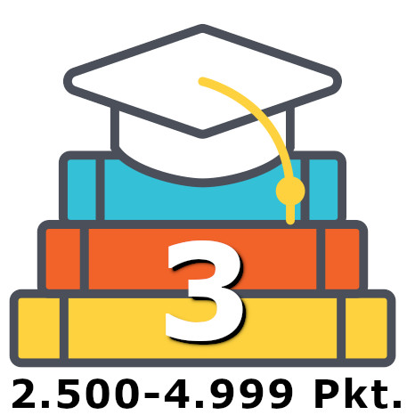 Mehr über den Artikel erfahren Level 3